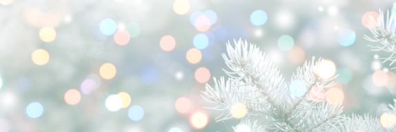 Weihnachts- und Neujahrsprogramm 2025 / 2026